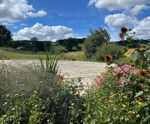 Luises Ferienglück Blick auf den Garten und Reitplatz