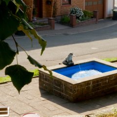 Blick durch die Bäume auf den Froschbrunnen