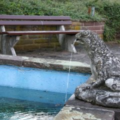 Froschbrunnen Arenborn