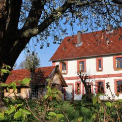 Ferienwohnung Altes Schifferhaus