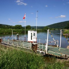 Fähre auf der weser in Oedelsheim