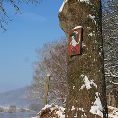 Winter_an der Weser
