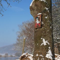 Winter_an der Weser